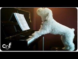 Волчий ВальсИсполнитель Шарик