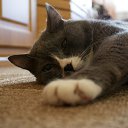 ���� �������, ���������, 65 ��� - ��������� 4 ��� 2015 � ������ ���� �����