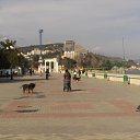 ���� Pawel, �������, 57 ��� - ��������� 28 ��� 2015 � ������ ���� ������ �� ������� - �������
