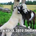 ���� ����, ������� - ��������� 26 ������� 2015 � ������ ���� ����������