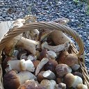 ���� ����, �����-���������, 69 ��� - ��������� 15 �������� 2015 � ������ ���� ����������