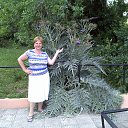 ��������� ���� ���� �� ������� ���� ����������