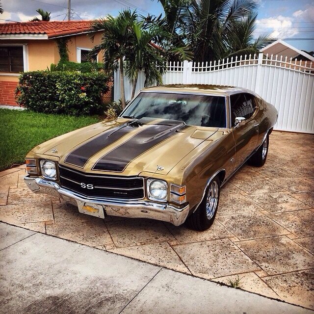 Chevelle SS - 5