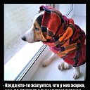 ���� ������, �������� - ��������� 3 ��� 2015