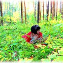  ,  -  3  2015    