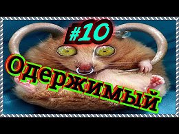Для поднятия настроения