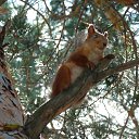 ���� �������, ����, 60 ��� - ��������� 2 ���� 2015 � ������ ���� ����������