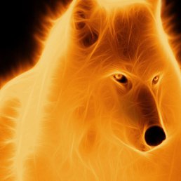 ������, �����������, 49 ���