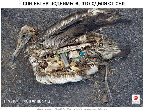 ...    - 8