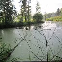 ���� �������, �����, 65 ��� - ��������� 28 ���� 2015 � ������ ���� ����������