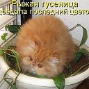 ���� �����, ������������ - ��������� 20 ���� 2015 � ������ ������ ��������