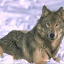  , -, 35  -  13  2015    