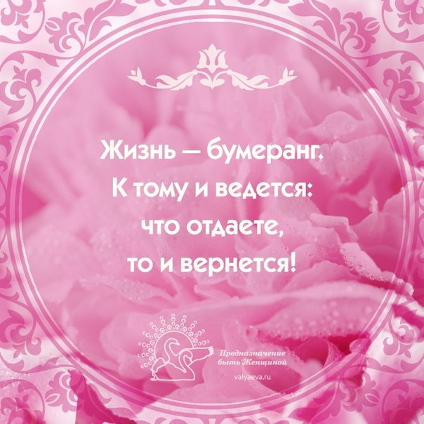   <a href=