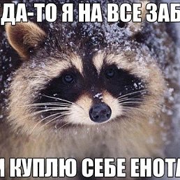 ���� ���������, ������, 44 ���� - ��������� 22 ���� 2015