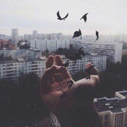   , -  .    , -  ...