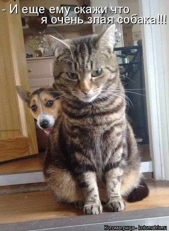 ����� �������� - 20 ���� 2015 � 10:31