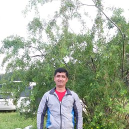 ��������, ����������, 47 ���