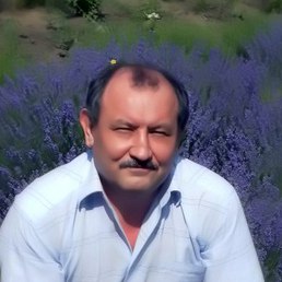 Alex, �������, 68 ���