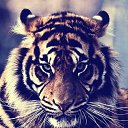���� ������ ..., ������ - ��������� 26 ������ 2015 � ������ ���� ����������