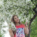 ���� �����, �����-���������, 33 ���� - ��������� 29 ��� 2015 � ������ ���� ����������