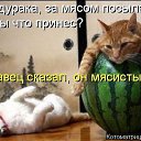 ���� ���������, ������, 65 ��� - ��������� 24 ��� 2015 � ������ ���� ����������