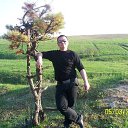 ���� �������, ��������, 44 ���� - ��������� 26 ���� 2015 � ������ ���� ����������