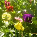 ������ �� ������� ��� ����