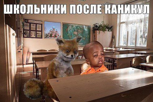 ☆   ☆ - 29  2015  16:38