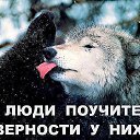 ���� ������, ��������������, 54 ���� - ��������� 21 ������� 2015 � ������ ������ ��������