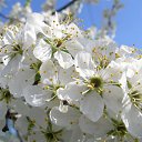 ���� ��������, ������, 48 ��� - ��������� 15 ��� 2015 � ������ ���� ���������..))�