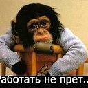 ���� �����, ���������, 62 ���� - ��������� 24 ������ 2015 � ������ ������ ��������