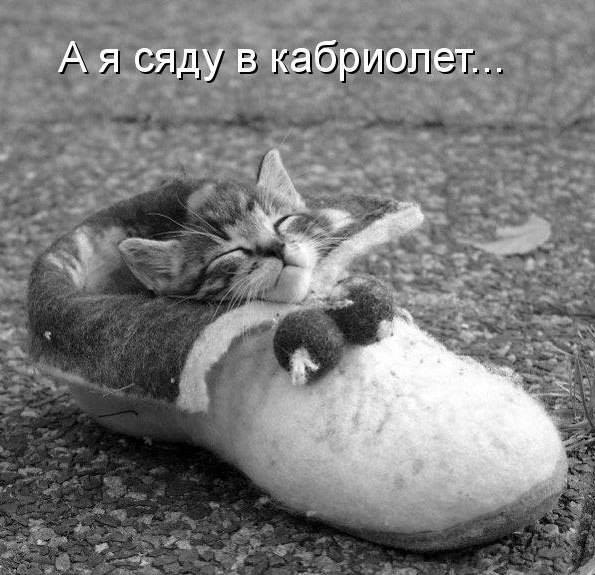   - 7  2015  23:55