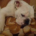 ���� �����, ������������, 48 ��� - ��������� 13 ���� 2015 � ������ ����������