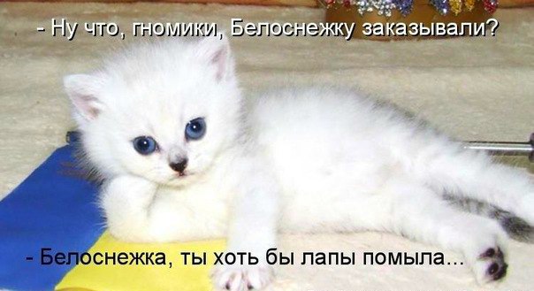   https://fotostrana.ru/away?to=/sl/NAD2