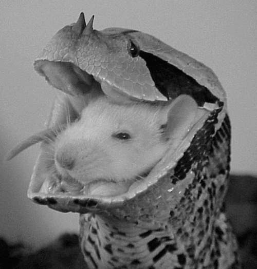 Heo�����e ���e��e ���o �a�e�e�o � �a�apc�o� �oo�a��e. M��� � ��e� c�a�� �y����� �py�����. �a �o�o ...