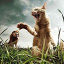  Arm, , 49  -  3  2015    