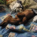 � ��� ���� �����. �� ������� ���� ����������