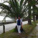  , , 73  -  24  2015    2015.