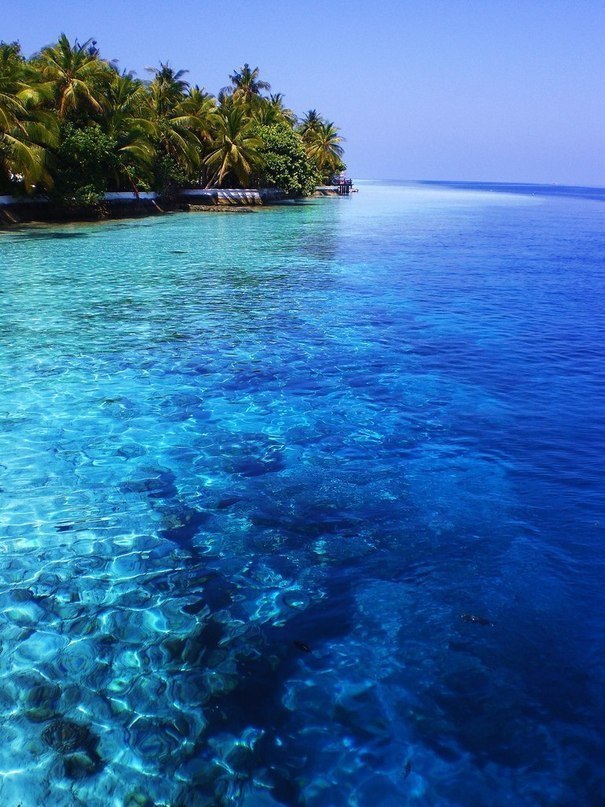 ������� ������� �����, ������� - � ����� ����� ����. - 3