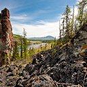  ,  -  13  2015     -    ( )   ( )