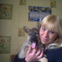 ���� ���, �����, 39 ��� - ��������� 30 ������� 2015 � ������ ���� ����������