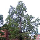 ��� ������� 600 ���. �� ����� ���������. �� ������� ���������