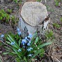 ���� Vassa, ���� - ��������� 25 ������ 2015 � ������ ������ ��������