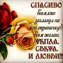  ,  -  21  2015    
