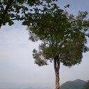  , , 58  -  24  2015   2015 . HONGKONG