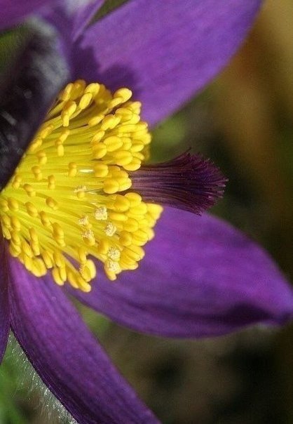 ||  ... || - 11  2015  23:20