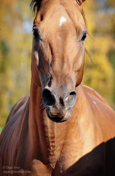   - 9  2015  20:30 - 2