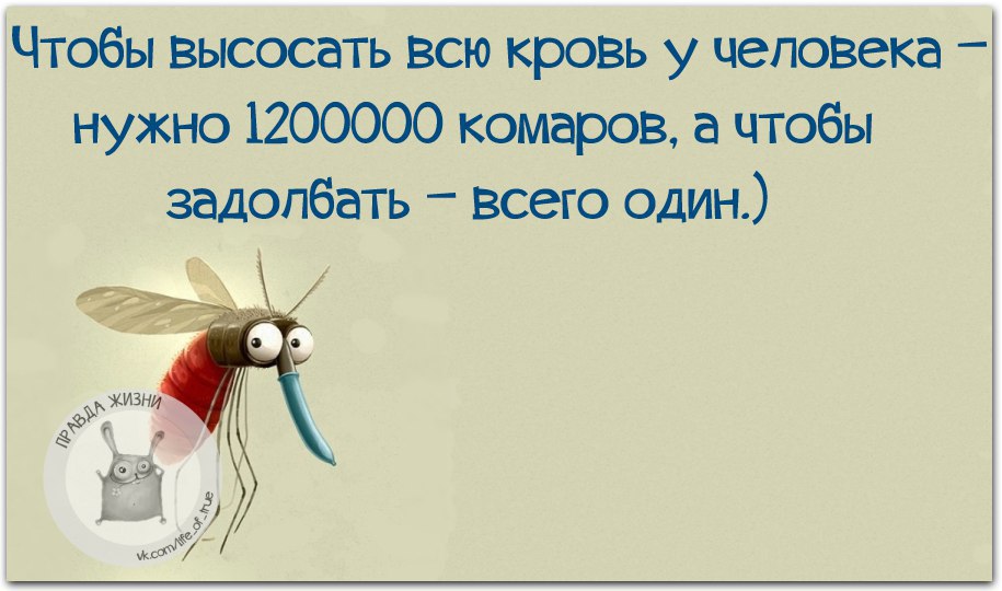   - 23  2015  16:16