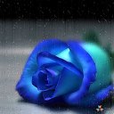 ���� �exman, ������, 51 ��� - ��������� 16 ���� 2015 � ������ ���� ����������