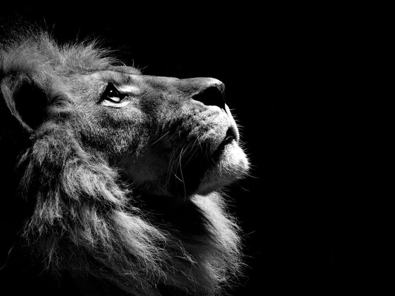    National Geographic